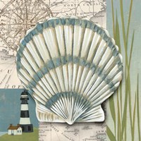 Seaside Shell II Framed Print