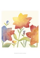 Aquarelle Floral II Fine Art Print