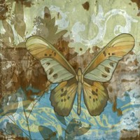 Rustic Butterfly II Framed Print