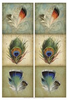 2-Up Feather Triptych I Framed Print