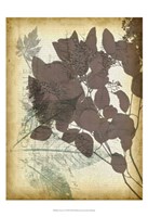 Leaf Letters I Framed Print