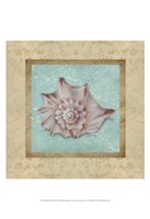 Shell & Damask II Fine Art Print