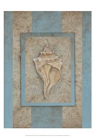 Shell & Damask Stripe II Fine Art Print