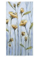 Wishing Blooms Fine Art Print