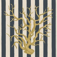 Marine Medley I Framed Print