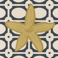 Marine Medley III Framed Print