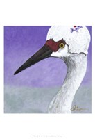 You Silly Bird - Abbe Fine Art Print