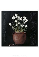 Paper Whites Fine Art Print