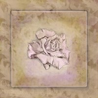 Rose Square I Fine Art Print