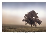 Paradise Haze by Todd McPhetridge - 39" x 28"