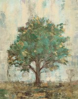 Verdi Trees I Fine Art Print