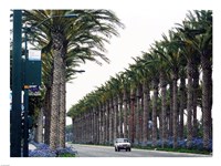 Anaheim, CA Fine Art Print