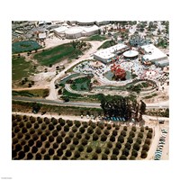 Disneyland and Orange Groves, 1955 Fine Art Print