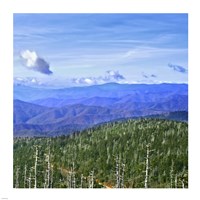 Great Smoky Mountains Fine Art Print