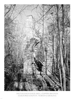 McCulloch Gold Mill, Copper Branch Guilford County, North Carolina Fine Art Print