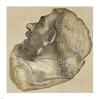Cartoon of the Head of Saint James Fine Art Print