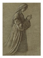 Study of the Virgin by Vittore Carpaccio - various sizes, FulcrumGallery.com brand