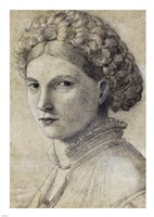 Portrait of a Young Woman by Andrea Previtali - various sizes, FulcrumGallery.com brand