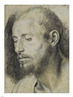 Study of the Head of a Bearded Man Fine Art Print