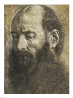 Saint Paul Fine Art Print