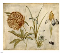 Flowers and Beetles by Hans Hofmann - various sizes