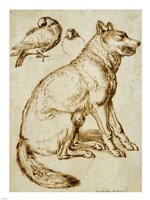 A Wolf and Two Doves Fine Art Print
