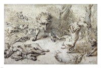 A Wild Boar at Bay Fine Art Print