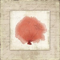 Coral Linen I Fine Art Print