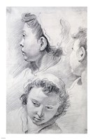 Three Studies of the Head of a Youth Fine Art Print