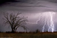 Lightning Fine Art Print