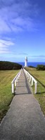 Cape Otway Fine Art Print