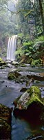 Hopetoun Falls Vert Fine Art Print
