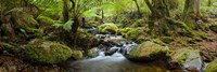 Cement Creek Fine Art Print