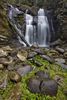 Stevenson Falls Fine Art Print