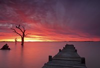 Lake Charm 4 Fine Art Print