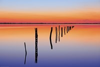 Vanishing Fence Line Fine Art Print