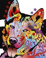 Siberian Husky 1 Fine Art Print