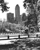 Carriage Fine Art Print