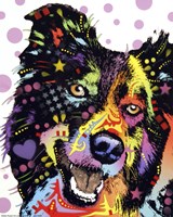 Border Collie 1 Fine Art Print