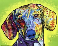 Dachshund Fine Art Print