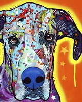 Great Dane by Dean Russo - various sizes