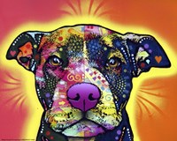 Love A Bull Fine Art Print