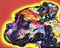 Profile Boxer 1 Fine Art Print