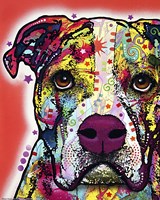American Bulldog 2 Fine Art Print
