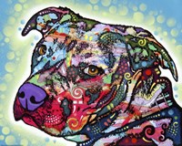 Bulls Eye Fine Art Print