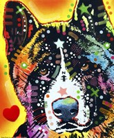 Akita 1 Fine Art Print