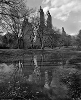 Central Park Reflections Fine Art Print