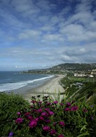Monarch Beach 1 Fine Art Print