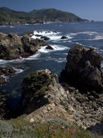 Big Sur 6 Fine Art Print