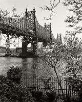 59Th Street Bridge Framed Print